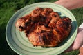 Grilled pork sirloin chops 2 Royalty Free Stock Photo