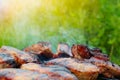 Grilled pork steak BBQ Royalty Free Stock Photo