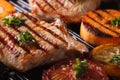 Grilled pork steak and vegetables on the grill. Horizontal macro Royalty Free Stock Photo