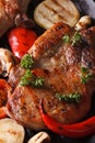 Grilled pork steak with vegetables top view macro vertical Royalty Free Stock Photo
