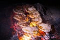 Grilled pork steaks. Royalty Free Stock Photo