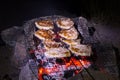 Grilled pork steaks. Royalty Free Stock Photo