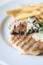 Grilled Porkchop with white sauce Royalty Free Stock Photo