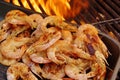 Grilled Prawns on open BBQ fire, XXXL Royalty Free Stock Photo