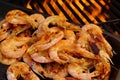 Grilled Prawns on open BBQ fire Royalty Free Stock Photo