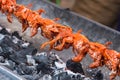 Grilled quail rolling on the grill grate. Grilled quail bird with white sesame for cooked thailand street food