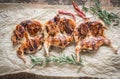 Grilled quails Royalty Free Stock Photo