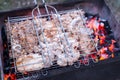 Grilled rabbit meat Charcoal grilled Royalty Free Stock Photo