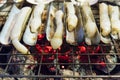 Grilled razor clams. Royalty Free Stock Photo