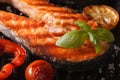 Grilled red fish steak salmon macro and vegetables