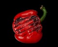 Grilled red pepper on black background Royalty Free Stock Photo