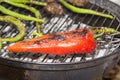 Grilled red pepper Royalty Free Stock Photo