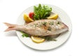 Grilled red snapper with salad