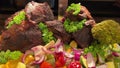 grilled ribs on plate with vegetables hidef slow motion intro Close-up of a cook turning a fork over barbecue pork