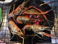 Grilled River Prawn or river shrimp on charcoal stove.