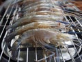 Grilled River shrimps on the flaming grill Royalty Free Stock Photo