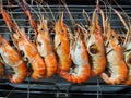 Grilled River shrimps on the flaming grill, Thai foods Royalty Free Stock Photo