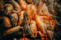 Grilled river shrimps or prawns Royalty Free Stock Photo