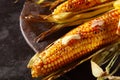 Grilled or roasted fresh corn, maize or mealies Royalty Free Stock Photo