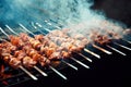 grilled roasted meat in smoke, outdoor recreation