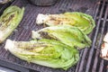 Grilled romaine salad