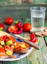 Grilled rye toast with vegetables. vegetarian appetizer