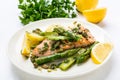 Grilled Salmon Steak with Asparagus Royalty Free Stock Photo