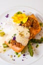 Grilled salmon with asparagus sauce and cream Royalty Free Stock Photo