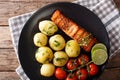 grilled salmon and boiled new potatoes with butter and herbs closeup. horizontal top view Royalty Free Stock Photo