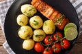 grilled salmon and boiled new potatoes with butter, tomatoes close-up on a plate. horizontal top view Royalty Free Stock Photo