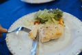 Grilled Salmon Dinner on a Plate With Salad Royalty Free Stock Photo