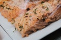 Grilled Salmon Display Royalty Free Stock Photo