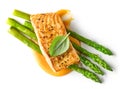 Grilled salmon fillet with asparagus Royalty Free Stock Photo