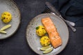 Grilled Salmon Fillet with Saffron Risotto Royalty Free Stock Photo