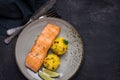 Grilled Salmon Fillet with Saffron Risotto Royalty Free Stock Photo