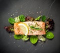 Grilled salmon fillet with salad on black slate plate Royalty Free Stock Photo