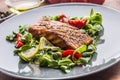 Grilled salmon fillet with salad tomatoes and sesame Royalty Free Stock Photo