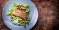 Grilled salmon fillet with salad tomatoes and sesame Royalty Free Stock Photo