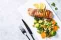 Grilled salmon fillet with vegetables mix. Royalty Free Stock Photo