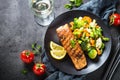 Grilled salmon fillet with vegetables mix. Royalty Free Stock Photo