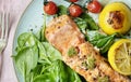 Grilled salmon food photography recipe idea Royalty Free Stock Photo