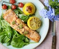 Grilled salmon food photography recipe idea Royalty Free Stock Photo