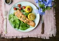 Grilled salmon food photography recipe idea Royalty Free Stock Photo