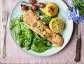 Grilled salmon food photography recipe idea Royalty Free Stock Photo