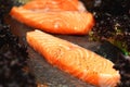 Grilled Salmon Royalty Free Stock Photo