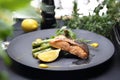Grilled salmon on green asparagus. An elegant exquisite dish