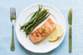 Grilled Salmon with Green Beans Royalty Free Stock Photo