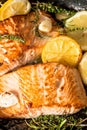 Grilled salmon with herbs, garlic and lemon Royalty Free Stock Photo