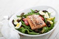 Grilled salmon nicoise salad Royalty Free Stock Photo