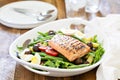 Grilled salmon nicoise salad Royalty Free Stock Photo